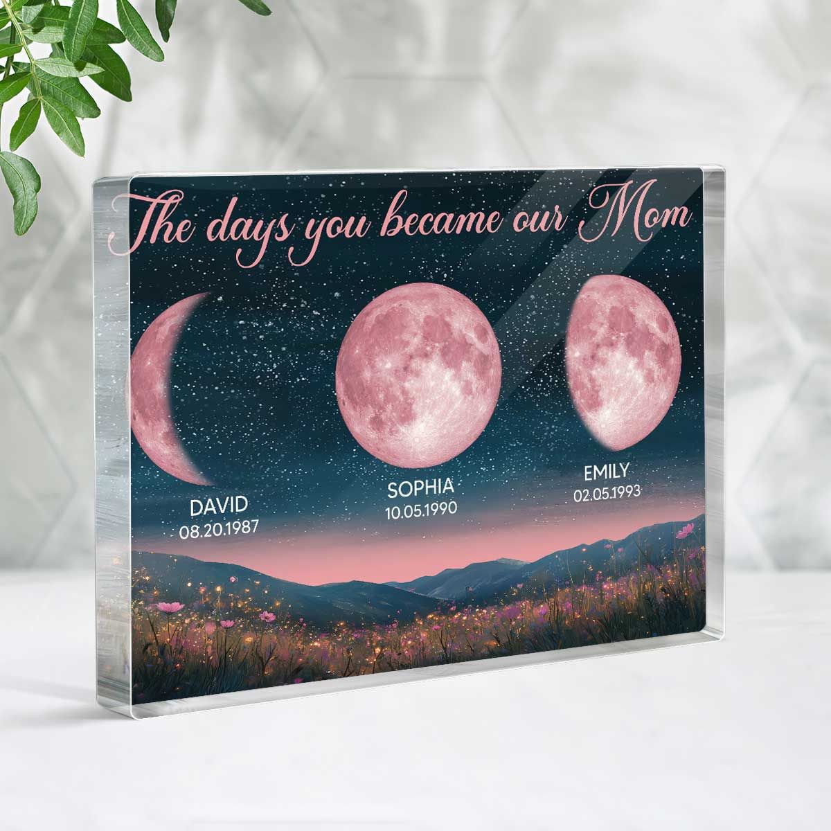 Pink Moon Phase Custom Birth Moon Beautiful Hill At Night Personalized Acrylic Block Plaque, Gift For Mom