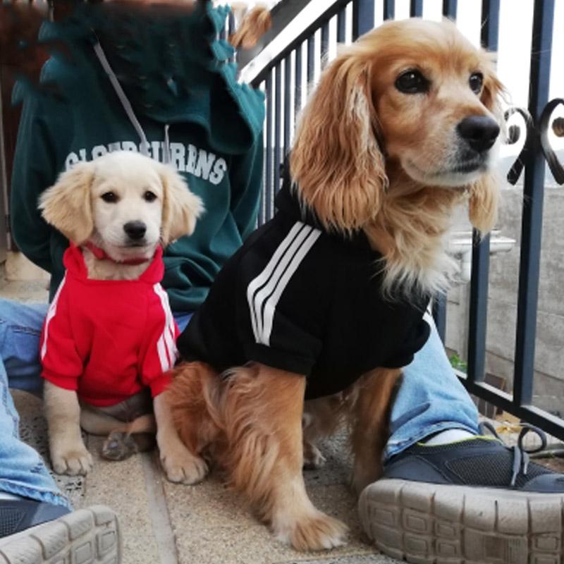 Life Is Better With Dogs On Car Personalized Dog Clothes