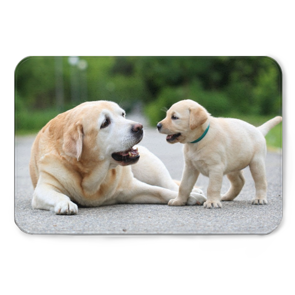 Custom Photo, Personalized Photo Doormat