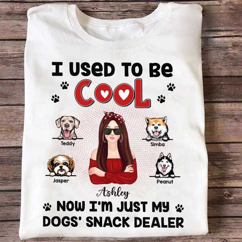 Used To Be Cool Now Dog Mom Snack Dealer Personalized Shirt