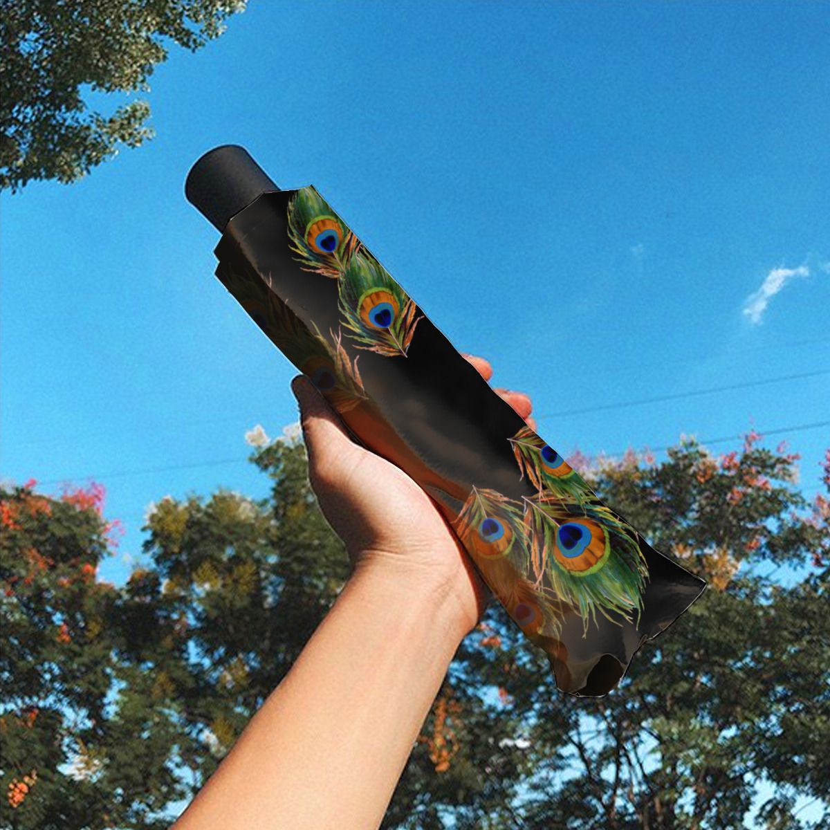 Peacock Feather Black Brushed Polyester Umbrella No.ODSHD5